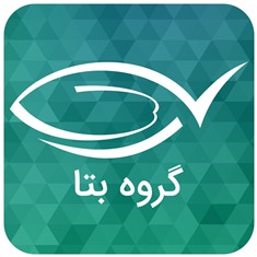 گروه بتا